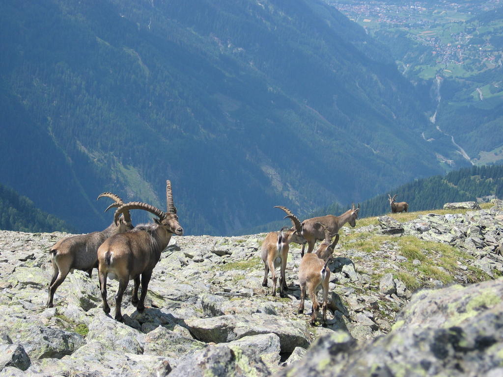 Apart Gletscherblick Kaunertal Exterior foto